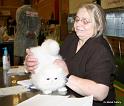 BIS kitten both days Du Monet Jack Frost